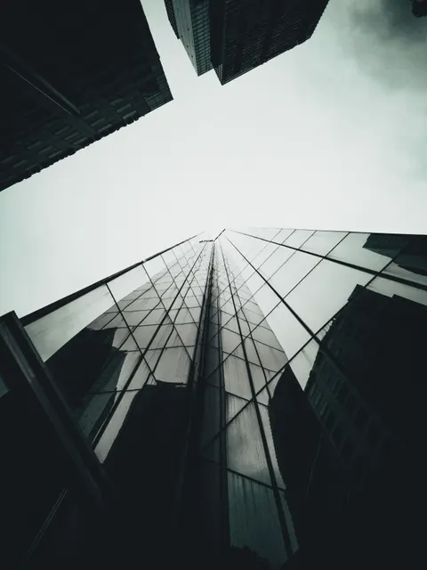 Looking Up Phone Wallpaper · street · 1440×1921
