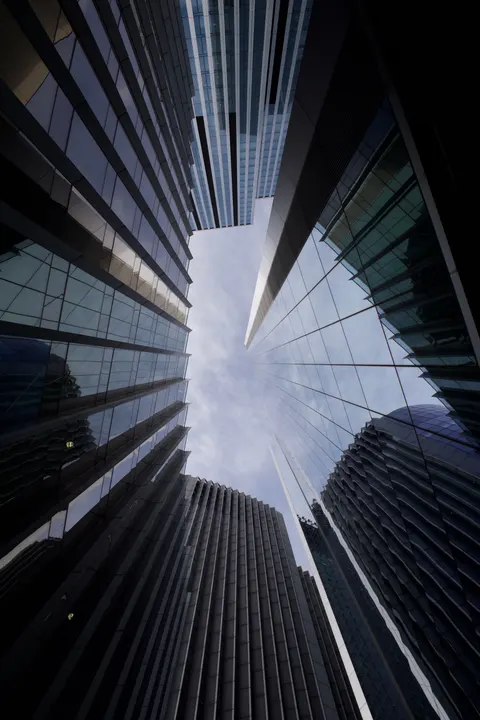 Looking Up Phone Wallpaper · street · 1440×2160