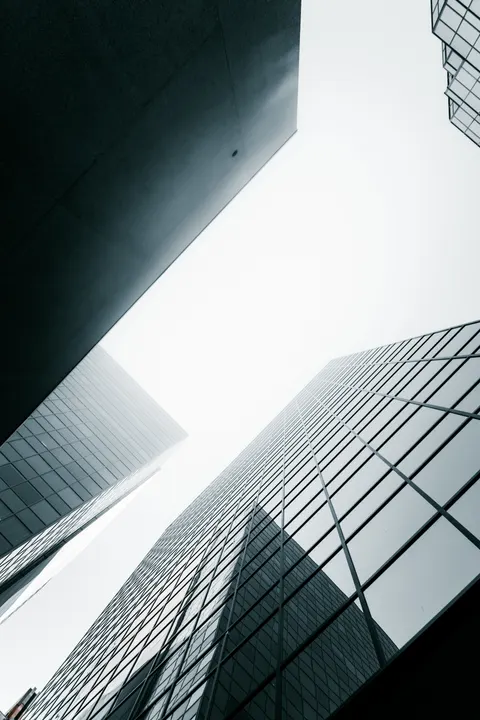 Looking Up Phone Wallpaper · street · 1440×2160