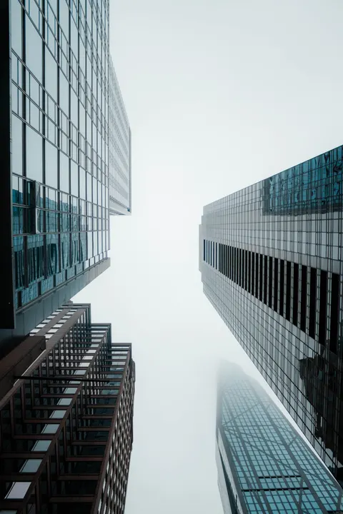 Looking Up Phone Wallpaper · street · 1440×2160