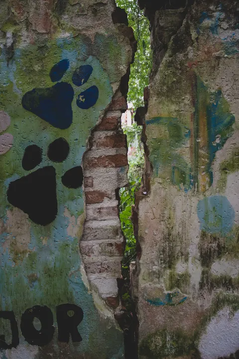 Street Art Phone Wallpaper · street · 1440×2160