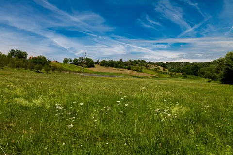 Wildflower Meadow 4K Wallpaper · nature · 3840×2562