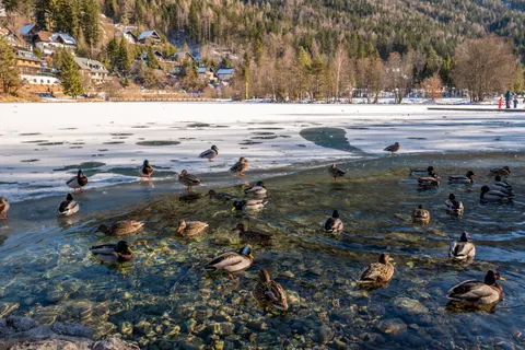 Frozen Lake 4K Wallpaper · nature · 3840×2560