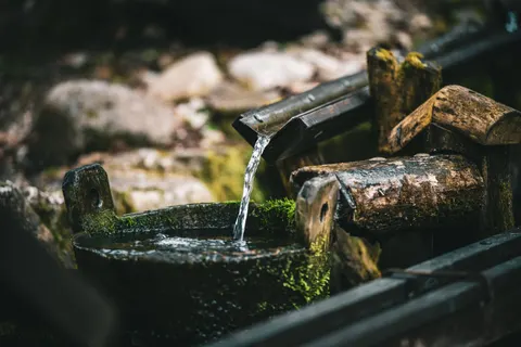 Forest Stream 4K Wallpaper · nature · 3840×2560
