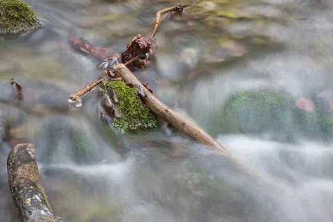والپیپر جویبار جنگلی با کیفیت 4K · nature · 3840×2563