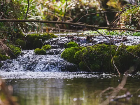 Waldbach 4K Hintergrundbild · nature · 3840×2880