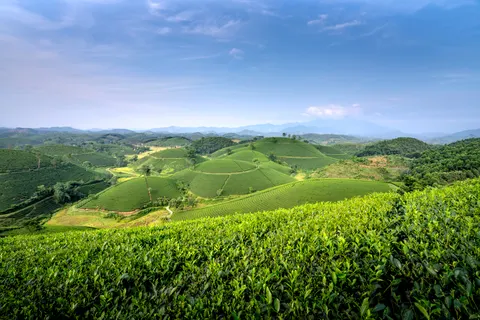 Sfondo Colline Verdi 4K · nature · 3840×2560