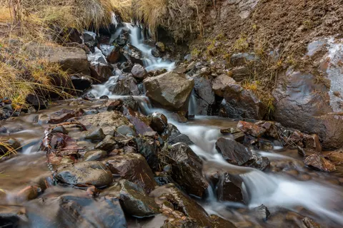 Forest Stream 4K Wallpaper · nature · 3840×2560
