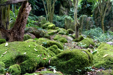 Forest Stream 4K Wallpaper · nature · 3840×2560