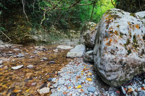 Forest Stream 4K Wallpaper · nature · 3840×2563