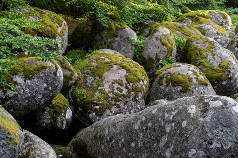 Forest Stream 4K Wallpaper · nature · 3840×2560