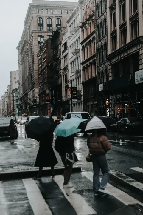 Crossing Phone Wallpaper · street · 1440×2160