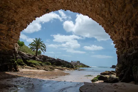 棕櫚海灘日落 4K桌布 · nature · 3840×2560