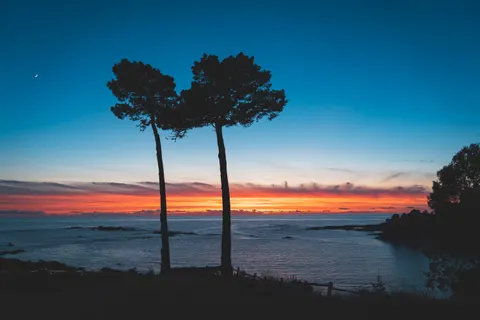 Palm Beach Sunset 4K Wallpaper · nature · 3840×2560