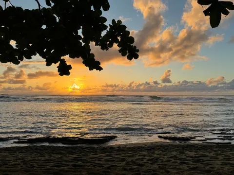 Palm Beach Sunset 4K Wallpaper · nature · 3840×2880