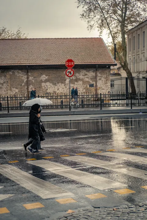 Crossing Phone Wallpaper · street · 1440×2160