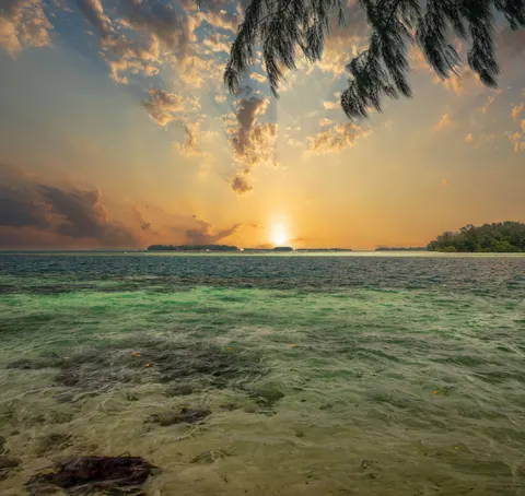 Palm Beach Sunset 4K Wallpaper · nature · 3840×3631