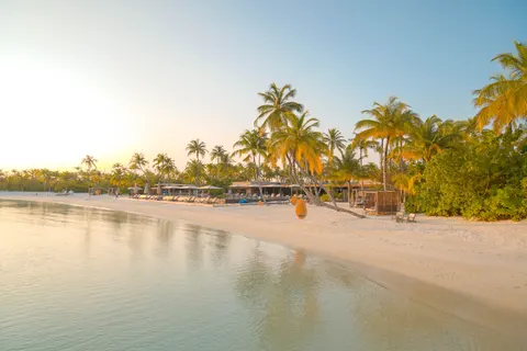 Palm Beach Sunset 4K Wallpaper · nature · 3840×2560