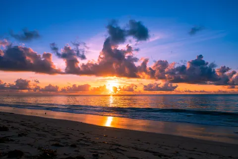Palm Beach Sunset 4K Wallpaper · nature · 3840×2560