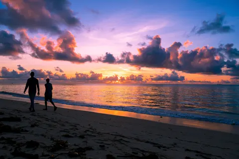 Palm Beach Sunset 4K Wallpaper · nature · 3840×2560