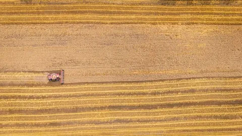 Wheat Field 4K Wallpaper · nature · 3840×2160