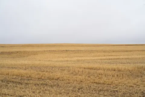 Wheat Field 4K Wallpaper · nature · 3840×2560