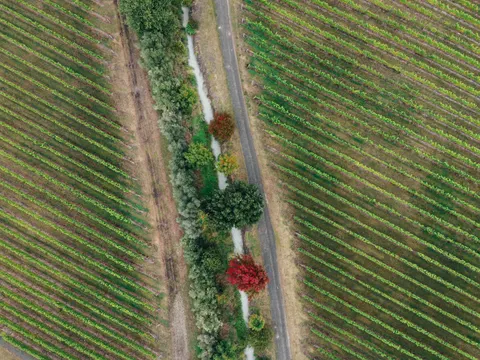 Vineyard Hills 4K Wallpaper · nature · 3840×2880