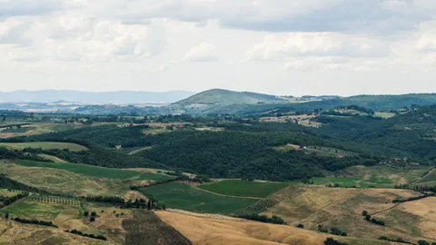 Vineyard Hills 4K Wallpaper · nature · 3840×2160