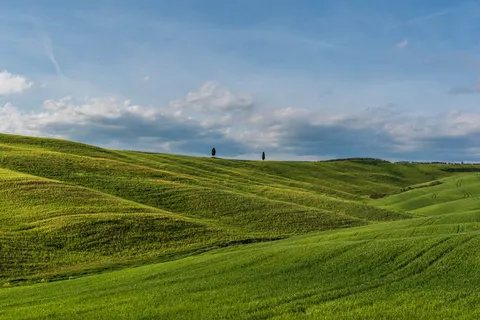 Vineyard Hills 4K Wallpaper · nature · 3840×2563