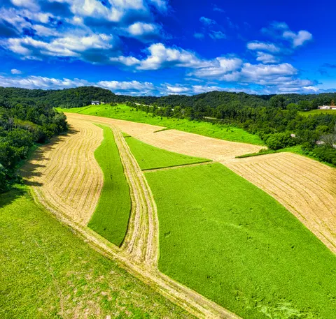 Vineyard Hills 4K Wallpaper · nature · 3840×3654