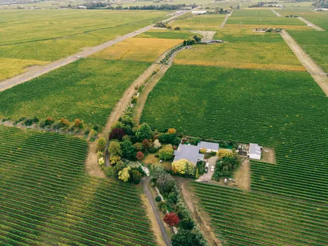 Vineyard Hills 4K Wallpaper · nature · 3840×2880