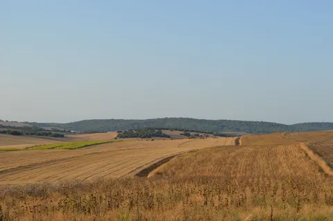 Vineyard Hills 4K Wallpaper · nature · 3840×2553