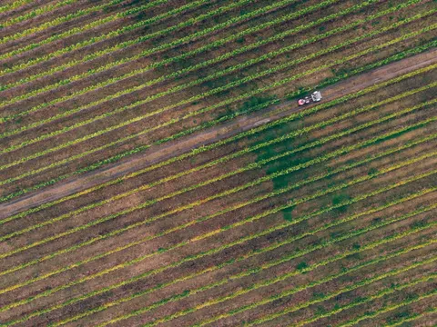 Vineyard Hills 4K Wallpaper · nature · 3840×2880
