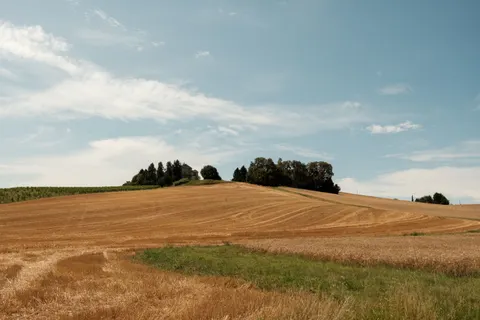 Vineyard Hills 4K Wallpaper · nature · 3840×2560