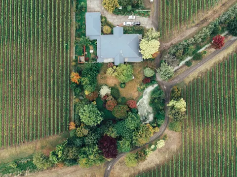 Papel de parede Colinas de vinhedos 4K · nature · 3840×2880