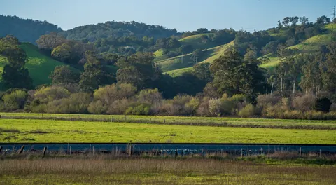 Vineyard Hills 4K Wallpaper · nature · 3840×2112