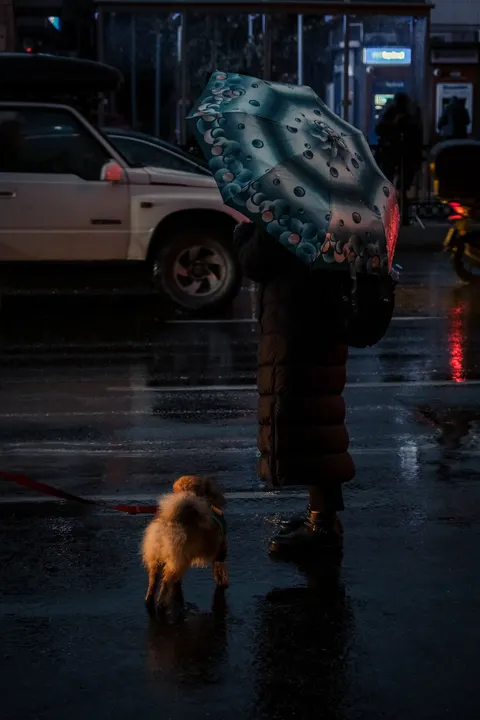 Rainy Street Phone Wallpaper · street · 1440×2160