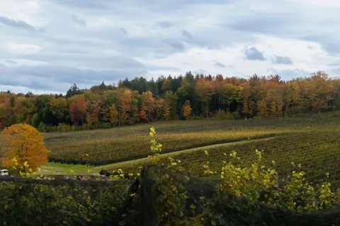Обои Виноградные холмы 4K · nature · 3840×2560
