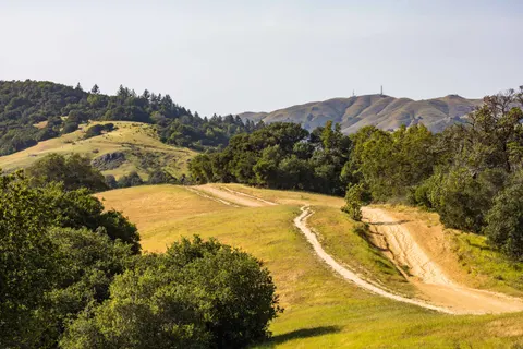 Vineyard Hills 4K Wallpaper · nature · 3840×2560