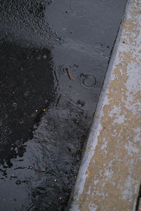 Rainy Street Phone Wallpaper · street · 1440×2160
