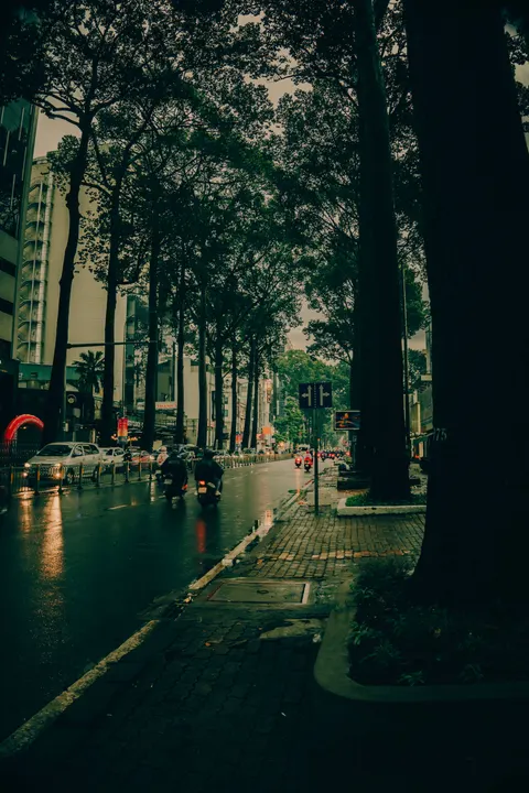 Rainy Street Phone Wallpaper · street · 1440×2160