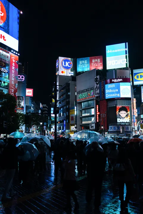 Rainy Street Phone Wallpaper · street · 1440×2160