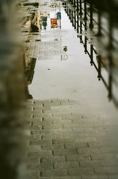 Rainy Street Phone Wallpaper · street · 1440×2172