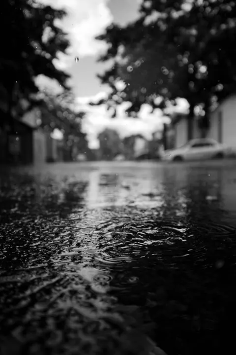 Rainy Street Phone Wallpaper · street · 1440×2160