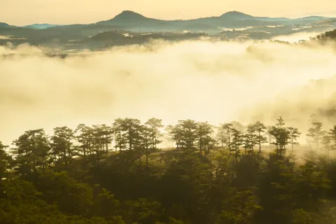 Misty Valley 4K Wallpaper · nature · 3840×2560