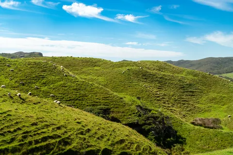 خلفية تلال خضراء بدقة 4K · nature · 3840×2560
