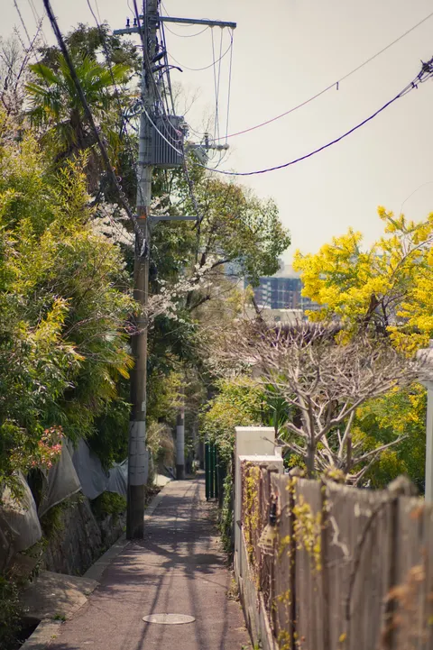 Tokyo Alley Phone Wallpaper · street · 1440×2163