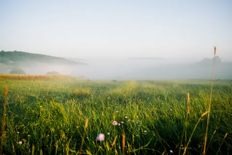 薄霧山谷 4K桌布 · nature · 3840×2560