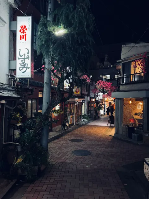 Tokyo Alley Phone Wallpaper · street · 1440×1920