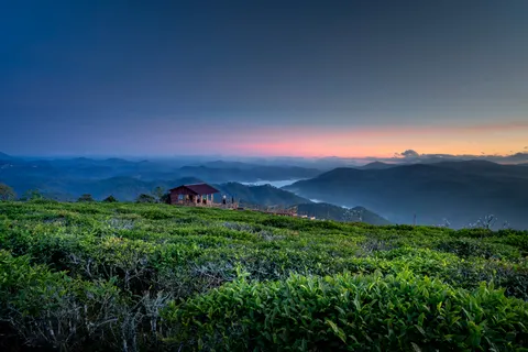안개 낀 계곡 4K 배경화면 · nature · 3840×2561
